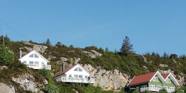 IMG_20190606_082416.jpg