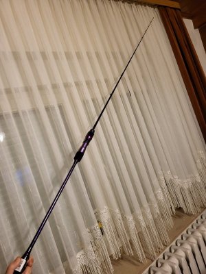 20241107_190645.jpg