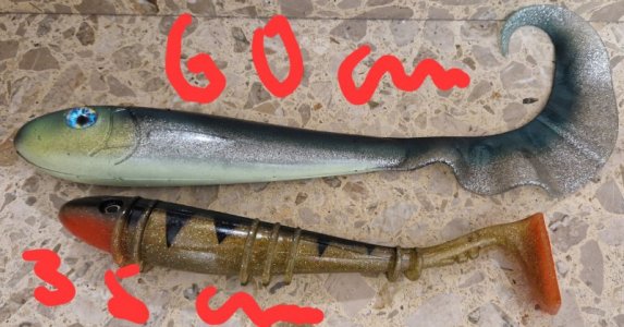 20250125_080911.jpg