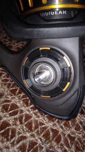 1739605727715.jpg