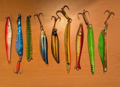 PXL_20250228_184308112~2.jpg