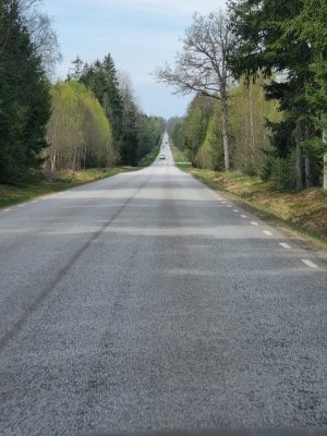 20250428_122611.jpg