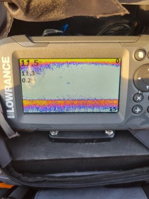 20250428_062937.jpg