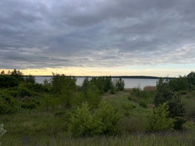 IMG_5329.jpeg