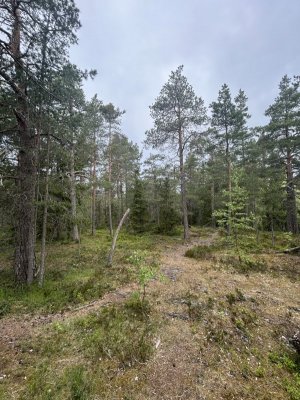 IMG_4091.jpeg