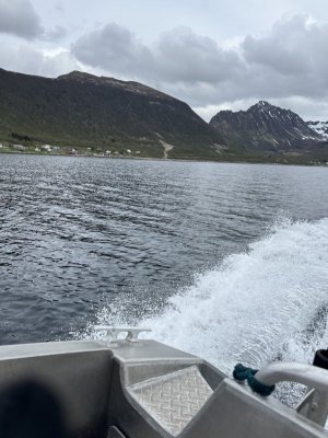 IMG_0397.jpeg