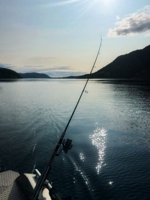 IMG_4367.jpeg