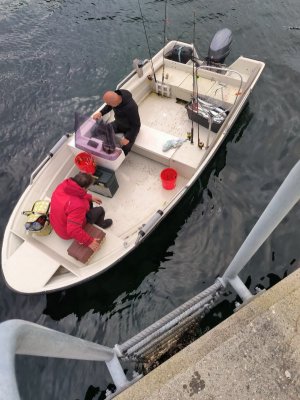 WhatsApp Bild 2025-06-20 um 10.34.20_ed405ee9.jpg