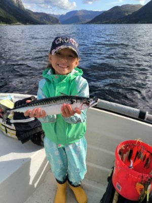 WhatsApp Bild 2025-06-20 um 10.34.20_38e22945.jpg