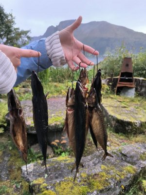 WhatsApp Bild 2025-06-20 um 10.34.19_bb7ccf22.jpg