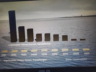 Dorschfang Ostsee. Gesamtstatistik.jpg