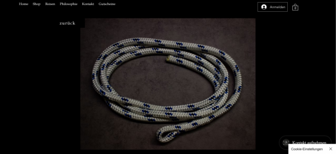 Screenshot 2025-08-27 at 14-06-09 Schwanzschlinge BUTTKRONE.png