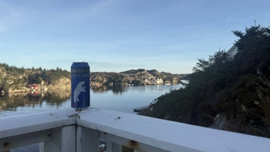 IMG_9741.jpeg