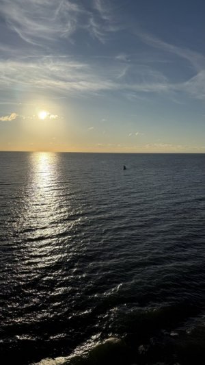 IMG_9804.jpeg