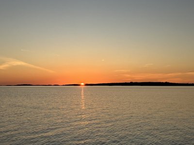 IMG_3131.jpeg