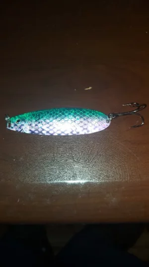 20240929_205249.webp