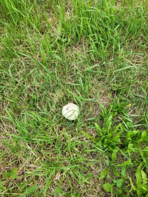20260617_184749.webp