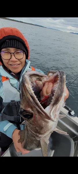 Screenshot_20260802_145957_Photos.webp