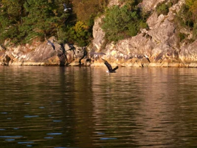 IMG-20260929-WA0014.webp