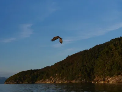 IMG-20260929-WA0016.webp