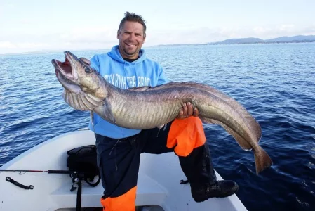 Grossleng blauJPG.webp