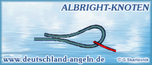 Albright-Knoten.gif