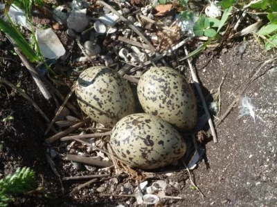 bilder von norwegen 2 253.webp