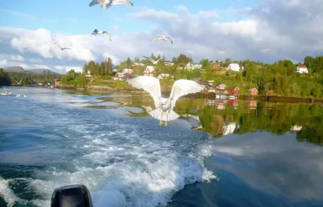 P1030207 - Kopie.webp