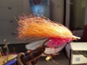 20171211_214556.jpg