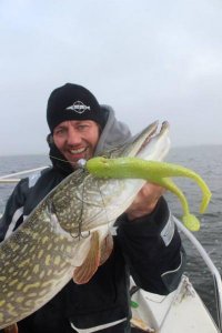 Haui 99er Froggie.jpg