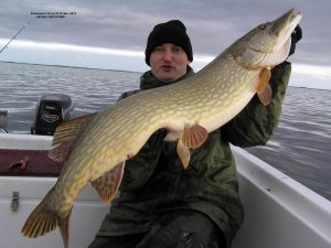 11,5 kg 114 nov13 - Kopie.jpg