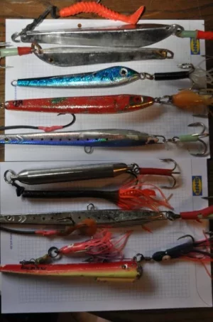 DSC_0061 - Kopie.webp