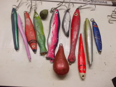 eigenbaupilker 002.webp