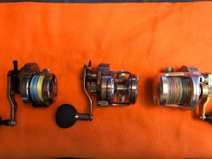 IMG_3856.jpg