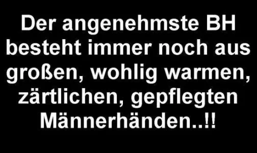 476.webp
