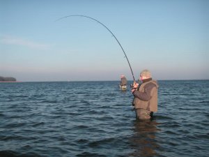 rügen dez2013 058.jpg