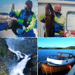 Gnam und Seepferdchen in Fure/Fjaler im Mai 2008!