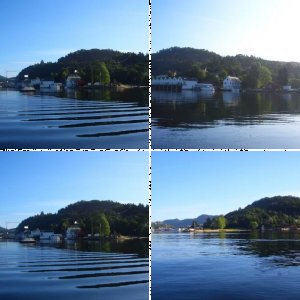 Wolfsbarsche im Flekkefjord