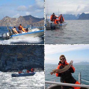 Havfiske 2007 / Senja 2008