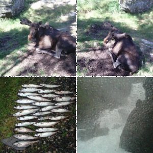 Fotos Fedafjord April 2009