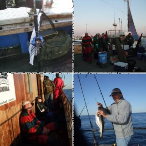 Gelbe Riff Tour 2009