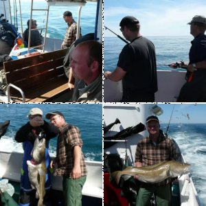 Gelbe Riff Tour 2009