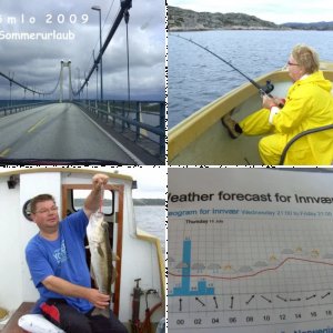 INSEL BÖMLO: Sag mir, wo die Makrelen sind......