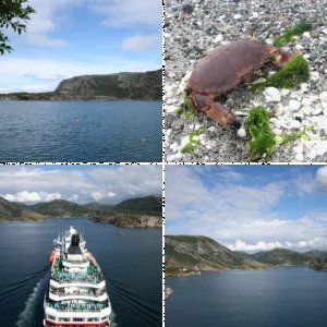 Norge 2008 Revsnes Stokksund