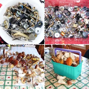 Angelrollen für Norwegen