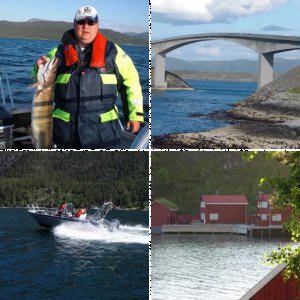 Möst Insel Frey 2009