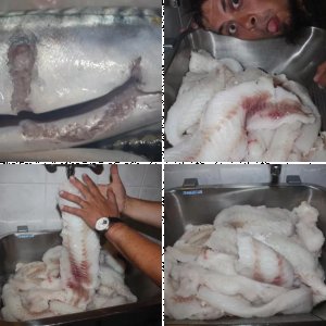 Snekvika August 2010