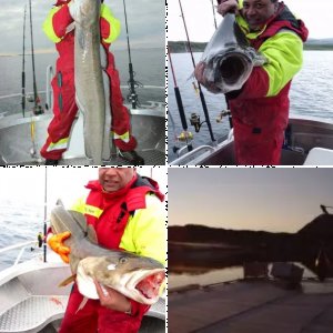 gefangen hab ich auch schon was