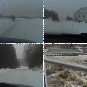 Frøya - Dorschtage 2011