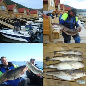 Gursken/Haugsbygda 5/2011